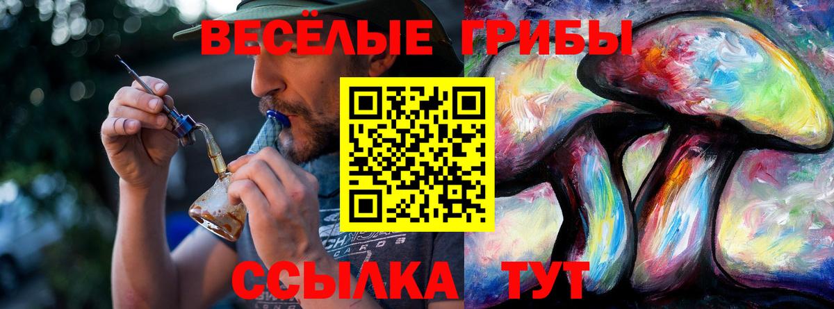 Псилоцибиновые грибы Cubensis  Галлюциногенные грибы прущие грибы  Вход с VPN  Лабинск 